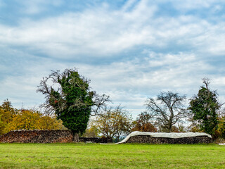 Brennholzlager auf einer Wiese im Herbst © focus finder