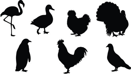  Bird species silhouette set, flamingo duck chicken turkey penguin rooster pigeon vector, 