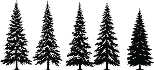 Pine tree silhouettes, conifer forest vector, evergreen nature illustration, decorative black artwork, abstract tree design, botanical drawing, stylized seasonal pine art