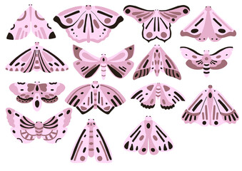 Mariposas rosas em aquarela — ilustração botânica natural	