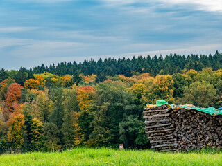 Brennholzlager auf einer Wiese im Herbst © focus finder