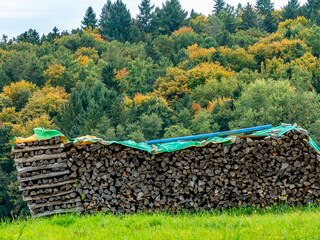 Brennholzlager auf einer Wiese im Herbst © focus finder
