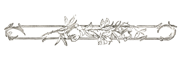 Decorative book divider made of flowers, from a 1916 magazine, with visible paper texture, isolated on transparent background