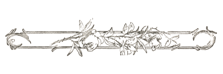 Decorative book divider made of flowers, from a 1916 magazine, with visible paper texture, isolated on transparent background