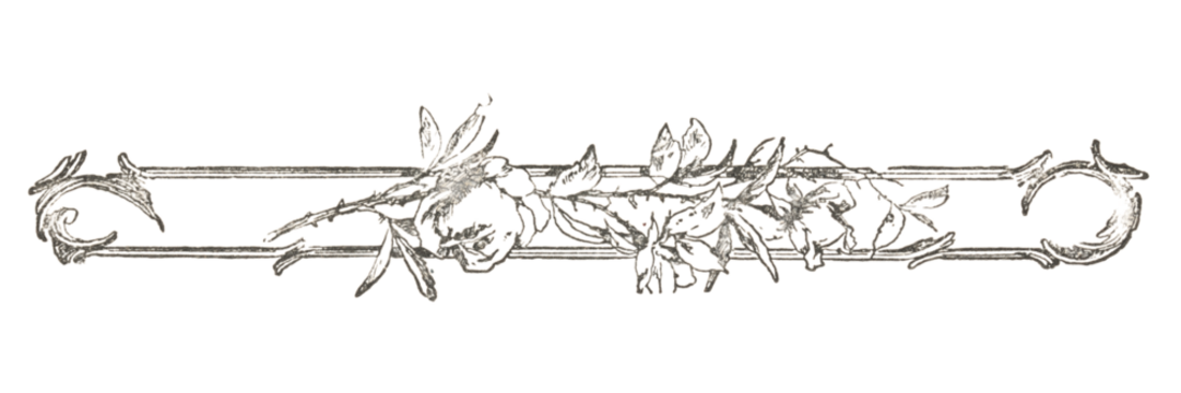 Decorative book divider made of flowers, from a 1916 magazine, with visible paper texture, isolated on transparent background