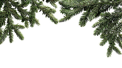 Obraz premium Natural frame of decorative fir tree branches for holiday designs