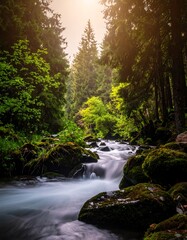 Obraz premium A forest stream flows smoothly between mossy rocks and vibrant foliage