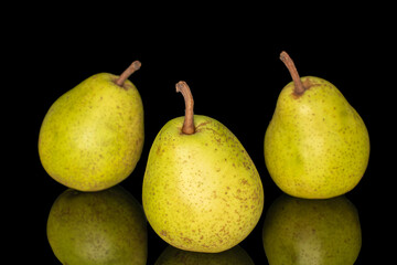 fresh pears isolated on black glass