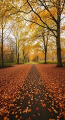 Fototapeta premium A pathway disappears into the distance lined by trees ablaze with autumn hues and a carpet of fallen leaves