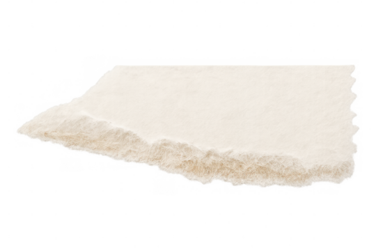 Torn beige paper scrap with rough edges, a blank textured page element for abstract design, transparent background - Powered by Adobe