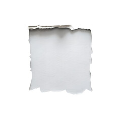 Obraz premium Torn paper fragment with rough edges isolated on white background