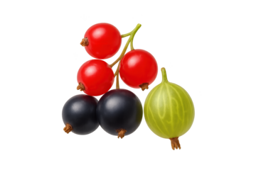 Cluster of red currants, black and green gooseberry on transparent background, bright glossy