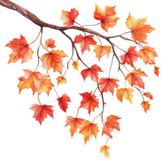 Fototapeta premium Autumnal Branch Display: A vibrant display of autumn leaves, showcasing the warm hues of fall, on a sturdy branch, offering a visual treat. 