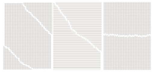Vector set of torn paper from a notebook. Torn sheet with mathematical grid and ruler. Torn sheet from a notebook, notebook, etc. torn into shreds. Elements of torn paper with grid.