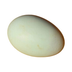 Mallard Egg (Anas platyrhynchos) Isolated on White Background with Copy Text Space. Natural Bird Element for Wildlife Education, Nesting Themes, and Nature-Inspired Designs. PNG File