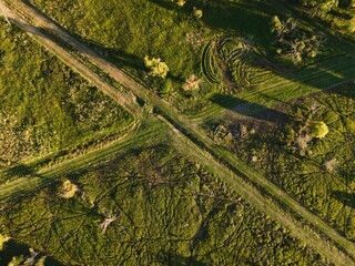 a clearing from above in summer