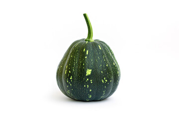 Dark green squash with a smooth surface and subtle stripes, positioned centrally against a soft white background, showcasing its natural beauty and organic form