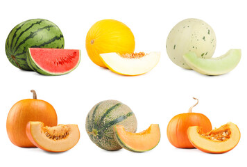 Fresh pumpkins, watermelon and melons isolated on white, set. Vegetables of gourd family