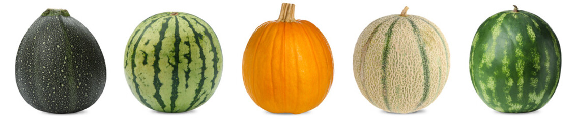 Fresh pumpkins, watermelons and melon isolated on white, set. Vegetables of gourd family