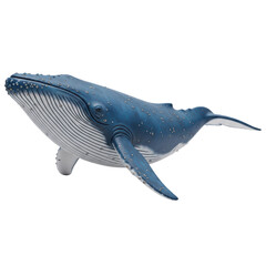 Fototapeta premium Detailed blue whale with barnacles on transparent background