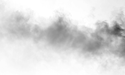 Subtle Atmospheric Cloud Overlay Delicate Tree Shadow Light Effect Design on Transparent Backdrop Illustration for Calm Design and Photo Enhancements