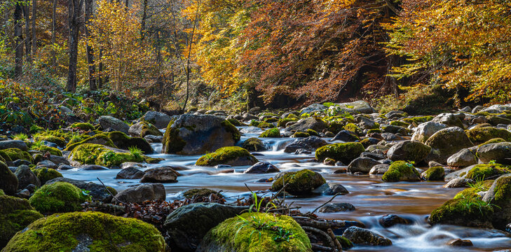 I fantastici colori dell&rsquo;autunno nei boschi della meravigliosa Valle Pesio