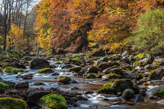 I fantastici colori dell&rsquo;autunno nei boschi della meravigliosa Valle Pesio