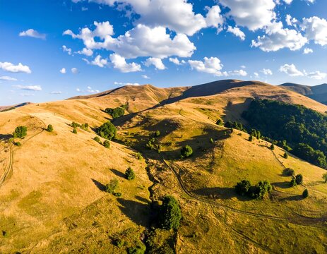 Aerial landscape view of rolling hills covered in golden-brown grass, a few green trees, and a bright blue sky with fluffy white clouds