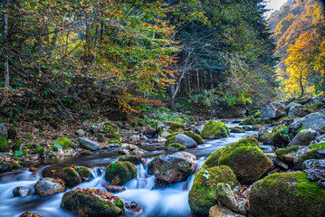 I fantastici colori dell’autunno nei boschi della meravigliosa Valle Pesio © alessandrogiam