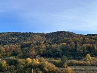 Fototapeta premium autumn in the mountains