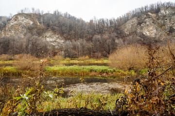 gray sky above, over peaceful meadow and pools, sky dark and gray over tranquil water meadows, gray sky shadows peaceful meadow filled with shimmering water pools