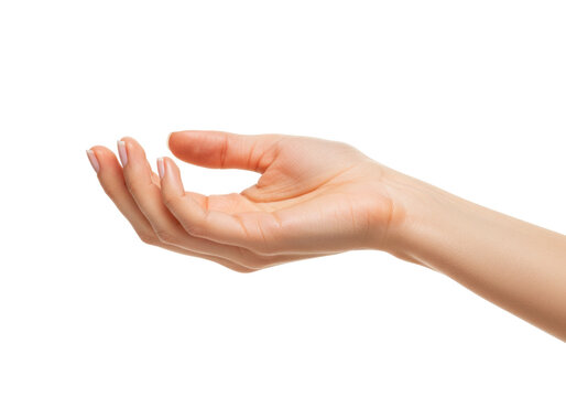 Isolated arm with hand open, woman female, reaching out, offer, holding, palm up, welcome