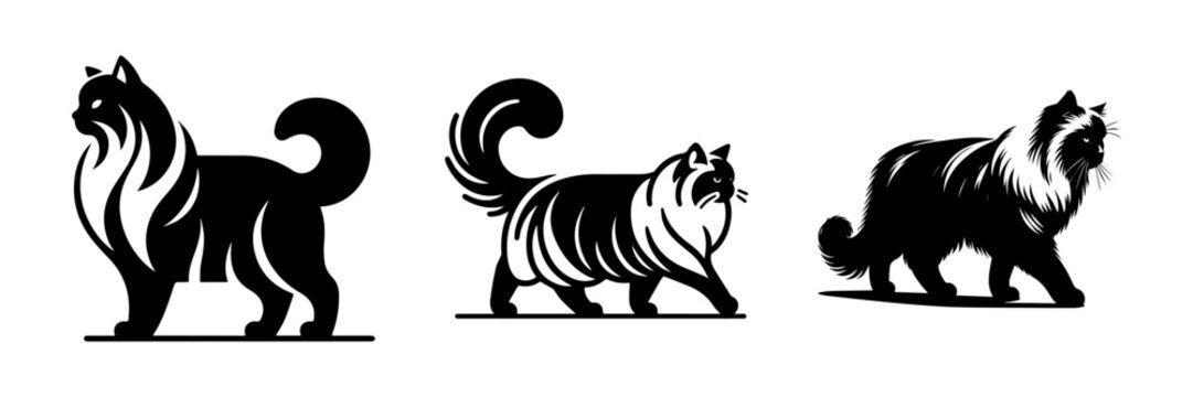 Elegant Black Cat Silhouettes: A Trio of Graceful Felines in Monochrome.