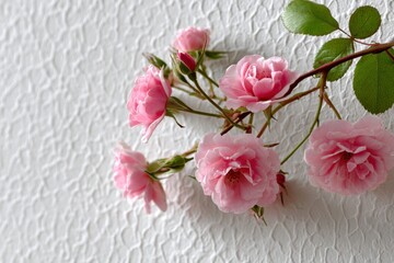 Delicate pink roses against a textured white wall create a calming and elegant atmosphere in a bright setting