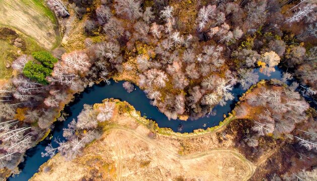 Aerial view of a winding river surrounded by autumnal trees and fields. The scene showcases natural beauty and vibrant fall colors