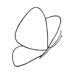 Butterfly, illustration in line art style, doodle.