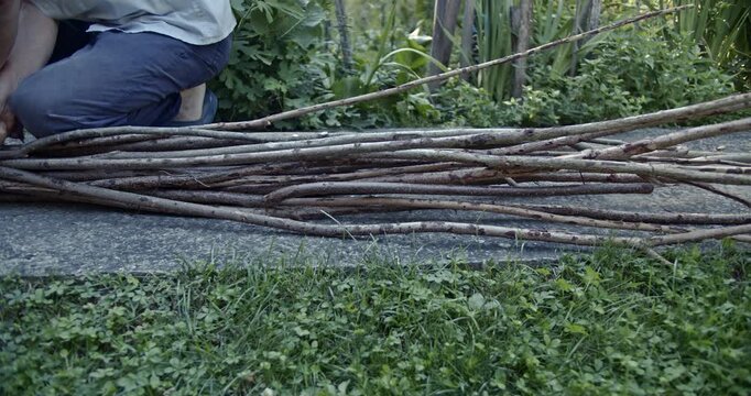 A man expertly ties a bundle of branches with metal wire, preparing them for a garden project. This manual crafting activity highlights the beauty of natural materials and traditional work outdoors.