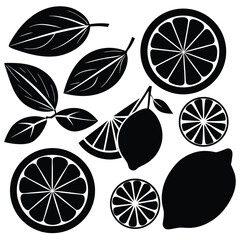 Lemon and Orange Slices Vector Icon Collection