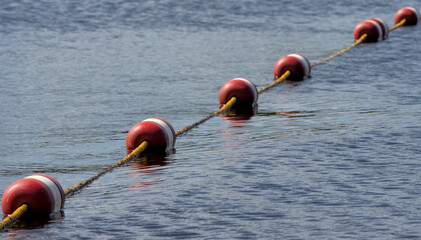 swimming floating rope separator in lake awosting minnewaska state park (public swim beach) divider pool safety travel summer float outdoors outdoor deep depth water buoys outside nature