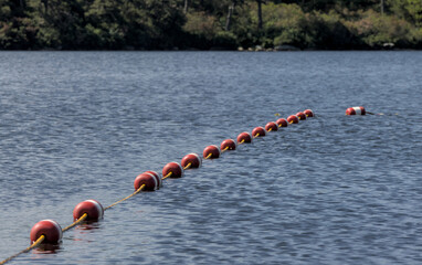 swimming floating rope separator in lake awosting minnewaska state park (public swim beach) divider pool safety travel summer float outdoors outdoor deep depth water buoys outside nature
