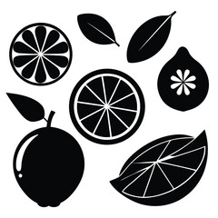 Lemon and Orange Slices Vector Icon Collection