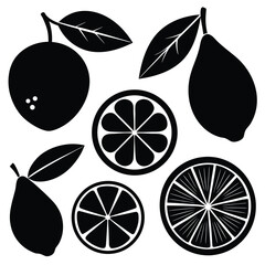 Adobe IllustratoCitrus Fruits and Leaves Silhouette Setr Artwork