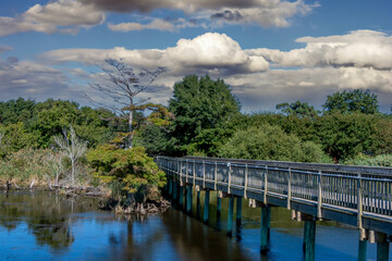 Fototapeta premium Boardwalk over Duck sound
