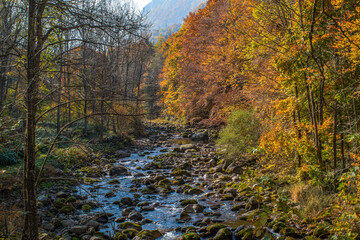 I fantastici colori dell&rsquo;autunno nei boschi della meravigliosa Valle Pesio
