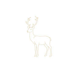 deer vector illustration