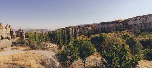 Cappadocia Valley Landscape with Trees and Rock Formations