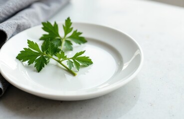 Fresh parsley leaves on a white ceramic plate with a minimalist background
