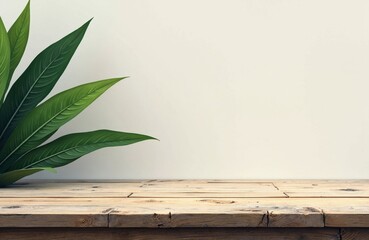 Obraz premium A green plant with large leaves placed on a wooden surface against a plain light background