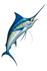 Blue marlin isolated on white background illustration