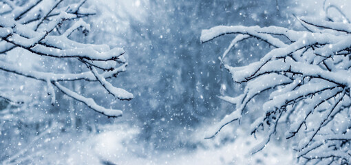 Winter background with snowy branches framing a soft blurred landscape and heavy snowfall creating a fabulous and magical atmosphere